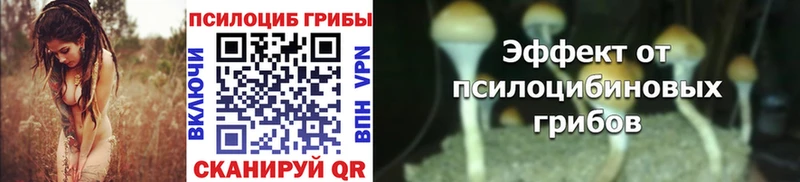 Псилоцибиновые грибы Psilocybe  купить наркотик  hydra как войти  Очёр 